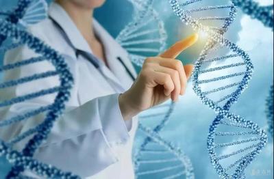 维多利亚大学生命科学专业深度解析 医学研究的学术路径与企业合作